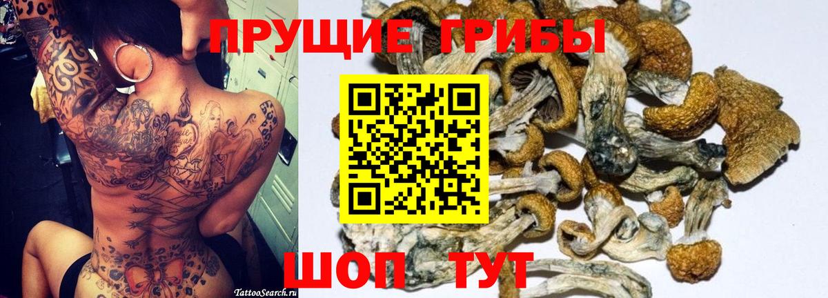Кириши  Псилоцибиновые грибы Psilocybine cubensis  Вход с VPN 
